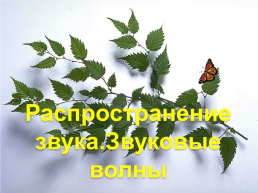 Я скажу вам сегодня, здравствуйте! Это, значит, желаю всем, и добра, и любви и здравия, чтобы было общаться с кем, слайд 5