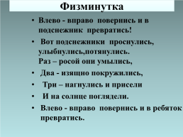 Подснежники, слайд 12