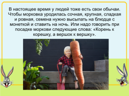 Королева овощей- морковь!, слайд 8
