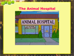 The animal Hospital, слайд 1