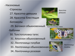 Типичные и редкие виды животных Варгашинского района, слайд 19