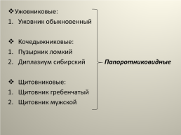 Особо охраняемые природные территории Варгашинского района и редкие виды растений на территории Варгашинского района, слайд 9