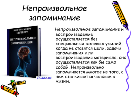 Память как психический познавательный процесс, слайд 10