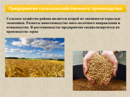 Проект «Экономика Рузаевского муниципального района», слайд 15