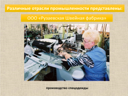 Проект «Экономика Рузаевского муниципального района», слайд 9