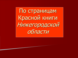 По страницам красной книги Нижегородской области, слайд 1