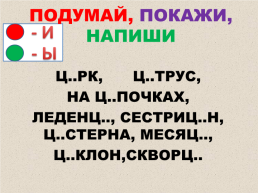 Правописание и – ы после ц, слайд 11