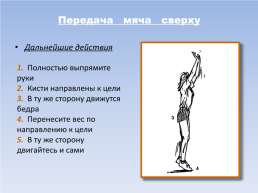Спортивные игры (волейбол), слайд 12
