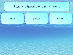 Тест –тренажёр по биологии. Тема «вода вещество», слайд 9