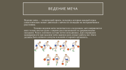 Техническая подготовка баскетболиста, слайд 10
