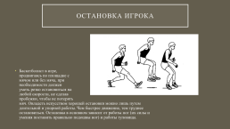 Техническая подготовка баскетболиста, слайд 5