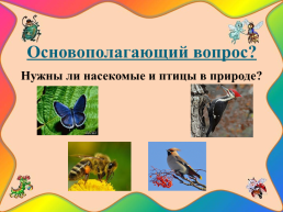 Педагогический проект «Птицы, насекомые – наши добрые знакомые», слайд 5