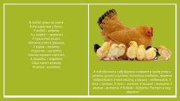 Домашние животные, птицы и их детёныши презентацию для детей 1-й младшей группы, слайд 12