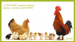 Домашние животные, птицы и их детёныши презентацию для детей 1-й младшей группы, слайд 9