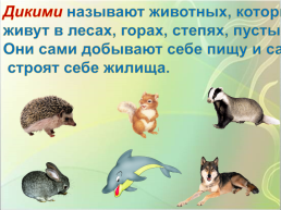 Среда обитания животных, слайд 2