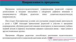 Формирование саморегуляции деятельности у детей 6 -10 лет в домашних условиях, слайд 3