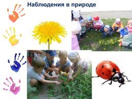 Развитие творческих способностей в изобразительной деятельности у детей младшего дошкольного возраста, слайд 9