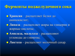 Изменение питательных веществ в кишечнике, слайд 16