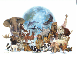 Всемирный день животных, слайд 5