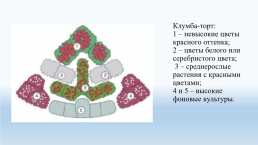 Составление схем цветников на УОУ, слайд 15