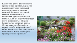 Составление схем цветников на УОУ, слайд 9
