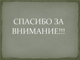 Детство и юность А.П Платонова, слайд 11