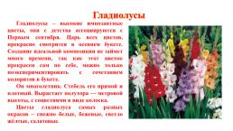 Цветочно-декоративные растения, слайд 11
