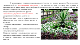 Цветочно-декоративные растения, слайд 2