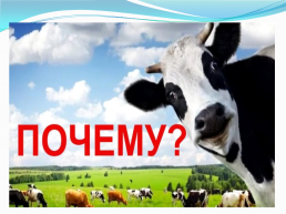 Почему молоко белое, если корова ест зелёную траву?, слайд 14