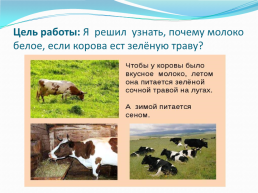Почему молоко белое, если корова ест зелёную траву?, слайд 7