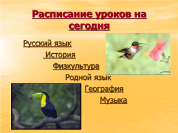 Праздник птиц, слайд 2