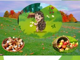 Интерактивная игра по экологии  для детей старшей группы «Загородное путешествие», слайд 7