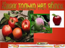 Яблоко не только продукт питания, но и символ!, слайд 10