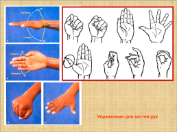 Здоровьесберегающая гимнастика для глаз и кистей рук на занятиях прикладным творчеством, слайд 14