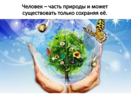 15 Апреля – день экологических знаний, слайд 13