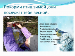 Покормите птиц зимой, слайд 9