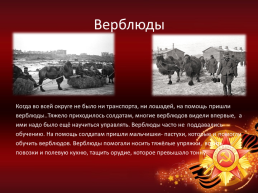 Животные – воины Великой отечественной войны, слайд 12