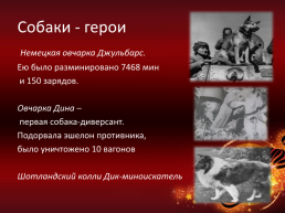 Животные – воины Великой отечественной войны, слайд 8