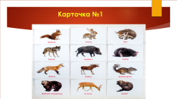 Природа. Дикие и домашние животные (с использованием классификации Глена Домана), слайд 10