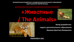 Животные / the animals, слайд 1