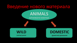 Животные / the animals, слайд 5