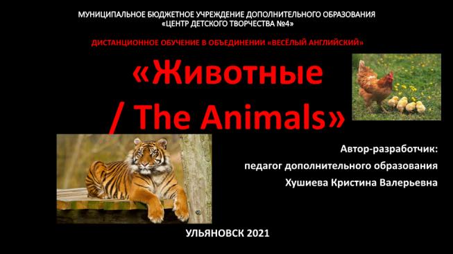 Животные / the animals