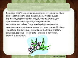У сиву давнину наші предки – слов’яни зустрічали новий рік з квітучою вишнею, слайд 9