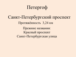 Санкт-Петербургский проспект, слайд 1