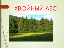 Лес и человек, слайд 4