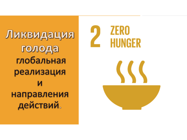 Ликвидация голода глобальная реализация и направления действий.