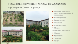 Ландшафтный дизайн пришкольного участка МАУО сош №19 г. Улан-Удэ, слайд 9