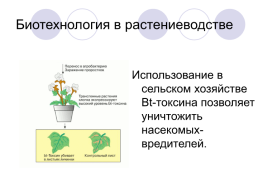 Открытия в области биотехнологии, слайд 6