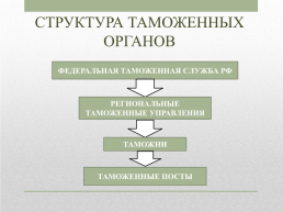 Таможенные органы РФ, слайд 11