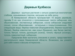 Деревья кузбасса, слайд 2